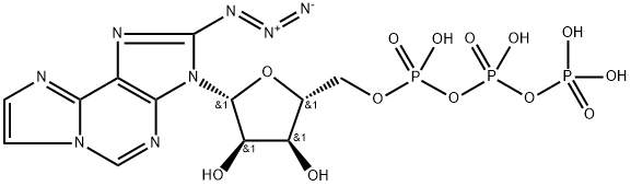 8-N3-ε-ATP|