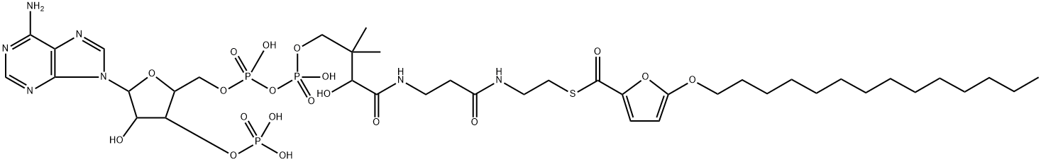 5-(tetradecyloxy)-2-furoyl-coenzyme A Struktur