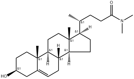 DMHCA Struktur