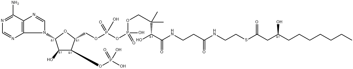 3-hydroxydecanoyl-coenzyme A Struktur