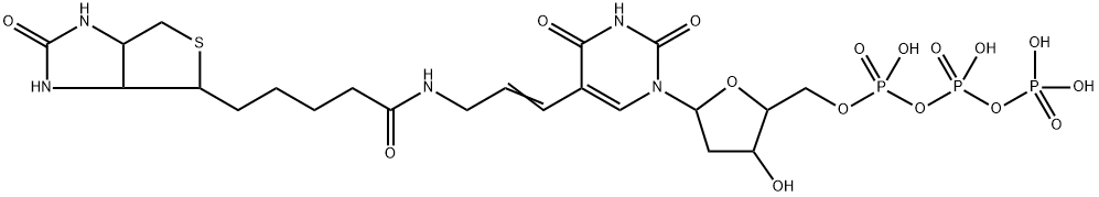 5-(N-(N-biotinyl-epsilon-aminocaproyl)-3-aminoallyl)-2'-deoxuridine 5'-triphosphate Struktur