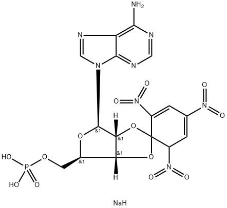 2',3'-O (2,4,6-trinitrocyclohexadienylidine)adenosine 5'-monophosphate Struktur