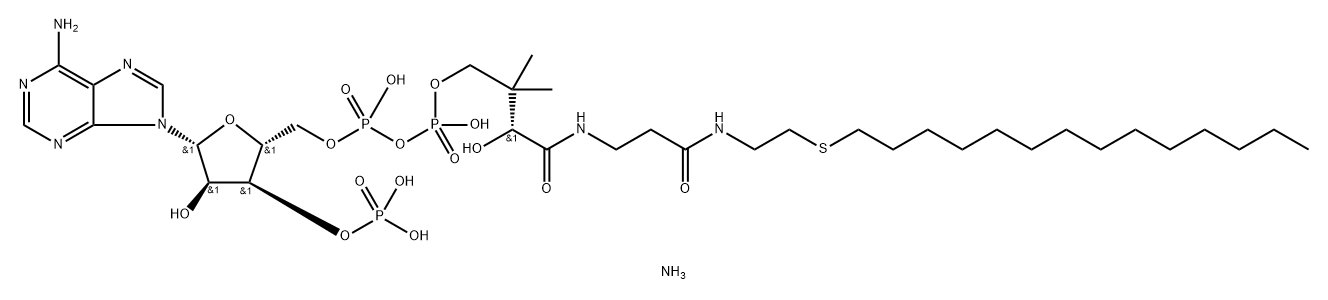 14:0 ETHER COENZYME A Struktur