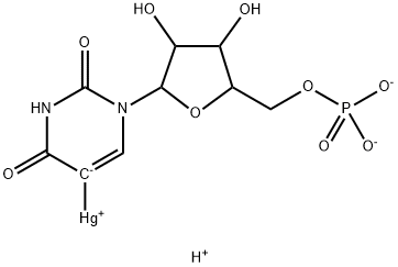 poly-5-mercuriuridylic acid Struktur