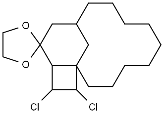 RCL T232041 Struktur