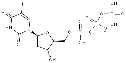 L-dTTP Struktur