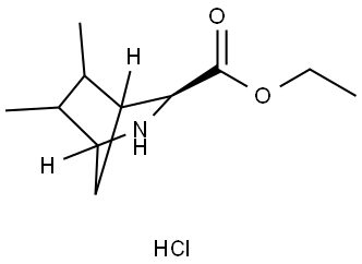 Ethyl (3S)-5,6-dimethyl-2-azabicyclo[2.2.1]heptane-3-carboxylate hydrochloride Struktur