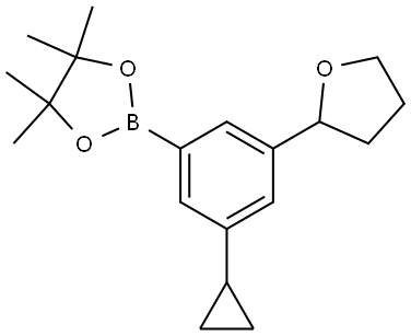 2-(3-cyclopropyl-5-(tetrahydrofuran-2-yl)phenyl)-4,4,5,5-tetramethyl-1,3,2-dioxaborolane Struktur