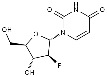 INDEX NAME NOT YET ASSIGNED Struktur