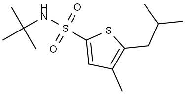 2-Thiophenesulfonamide, N-(1,1-dimethylethyl)-4-methyl-5-(2-methylpropyl)- Struktur