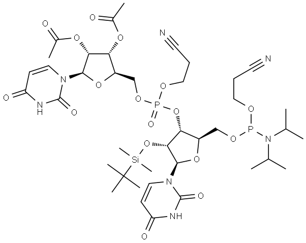 Protected U-U 5’-CEP Struktur