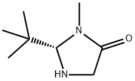 2-tert-butyl-3-MethyliMidazolidin-4-one Struktur