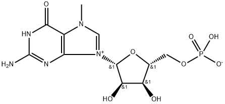 7-methylguanosine-5'-monophosphate Struktur