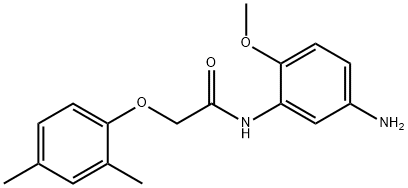 N-(5-Amino-2-methoxyphenyl)-2-(2,4-dimethylphenoxy)acetamide Struktur