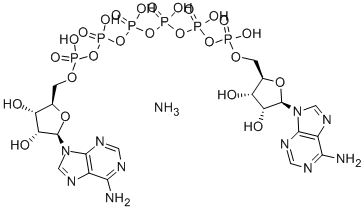 A[5']P6[5']A AMMONIUM SALT Struktur