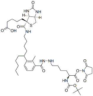 N2-t-Boc-N6-(biotinamido-6-N-caproylamido)lysine N-Hydroxysuccinimide Ester Struktur