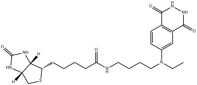 aminobutylethylisoluminol-biotin Struktur