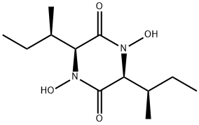 TERRAMIDEA Struktur