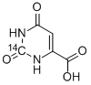 OROTIC ACID, [2-14C] Struktur