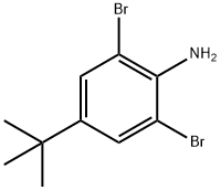 2,6-Dibromo-4-tert-butylaniline price.