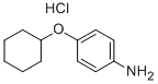 4-CYCLOHEXYLOXY-PHENYLAMINE HYDROCHLORIDE Struktur