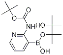 2-(TERT-BUTOXYCARBONYLAMINO)PYRIDINE-3-BORONIC ACID PINACOL ESTER Struktur