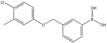 3-[(4-Chloro-3-Methylphenoxy)Methyl]phenylboronic acid Struktur