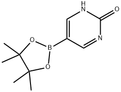 2-HYDROXYPYRIMIDINE-5-BORONIC ACID, PINACOL ESTER