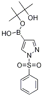 1-Phenylsulfonyl-1H-pyrazole-4-boronic acid pinacol ester Struktur