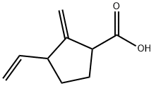 Cyclopentanecarboxylic acid, 3-ethenyl-2-methylene- (9CI) Struktur