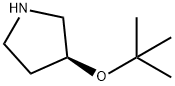 (S)-4-tert-butoxypyrrolidine