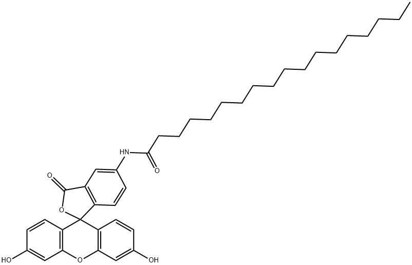 5-(OCTADECANOYLAMINO)FLUORESCEIN Struktur