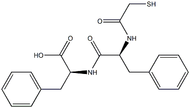 phelorphan Struktur