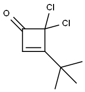 3-tert-butyl-4,4-dichlorocyclobut-2-enone Struktur