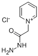 GIRARD'S REAGENT P