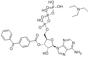 2'- AND 3'-O-(4-BENZOYLBENZOYL)-ADENOSINE 5'-TRIPHOSPHATE TRIETHYLAMMONIUM SALT price.