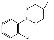 4-Chloro-3-(5,5-dimethyl-1,3,2-dioxaborinan-2-yl)pyridine, HCl Struktur