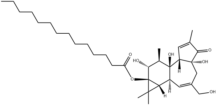 PHORBOL 13-MYRISTATE Struktur