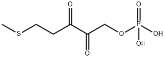 1-phospho-2,3-diketo-5-S-methylthiopentane Struktur