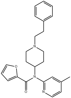 MS 28 Struktur