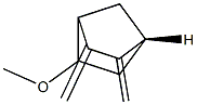 Bicyclo[2.2.1]heptane, 5-methoxy-2,3-bis(methylene)-, (1R-endo)- (9CI) Struktur