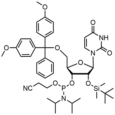 DMT-2′O-TBDMS-rU Phosphoramidite