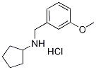 Cyclopentyl-(3-methoxy-benzyl)-amine hydrochloride Struktur