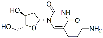 5-(3-aminopropyl)-2'-deoxyuridine Struktur