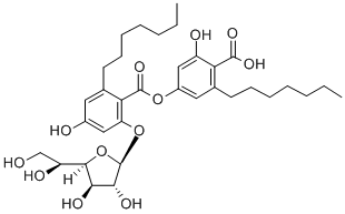 KS 502 Struktur