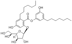 KS 501 Struktur