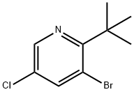 3-broMo-2-tert-butyl-5-chloropyridine Struktur