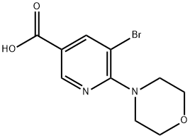 5-broMo-6-Morpholinonicotinicacid Struktur