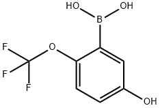 5-Hydroxy-2-(trifluoromethoxy)phenylboronic acid Struktur