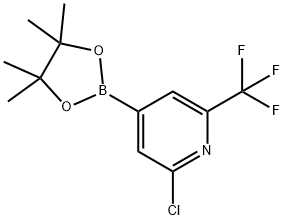 2-Chloro-6-(trifluoromethyl)pyridine-4-boronic acid pinacol ester Struktur